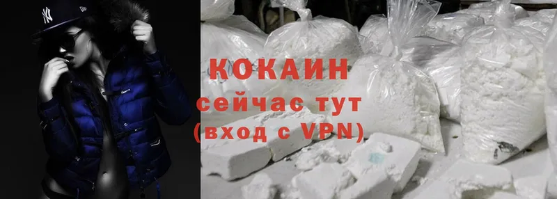 Cocaine Fish Scale  купить наркоту  Волгореченск 